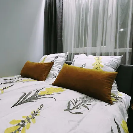 Apartament Tysiaclecia 6 * Katowice