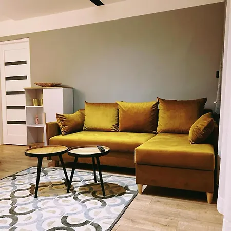 Apartament Tysiaclecia 6 * Katowice