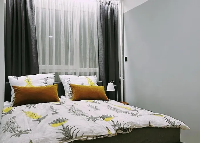 Apartament Tysiaclecia 6 *